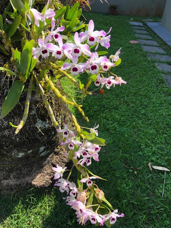Casa Em Cond. Fechado Praia Mococa - Caraguatatuba Mar Verde المظهر الخارجي الصورة